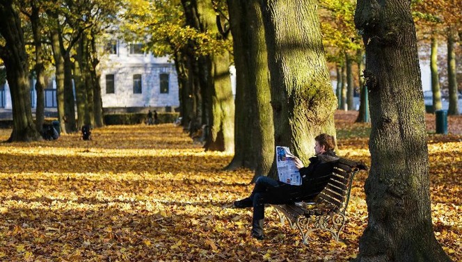 Autumn in Brussels